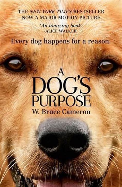 A Dogs Purpose By W Bruce Cameron Paperback 9781760551452 Buy