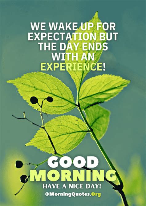 Good Morning Motivation Positive Good Morning Quotes Beautiful