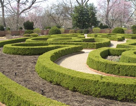 When was the last time you (your hair/cut) ? Cut Boxwoods with Care
