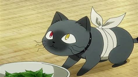 top 50 best anime cats [most popular of all time]