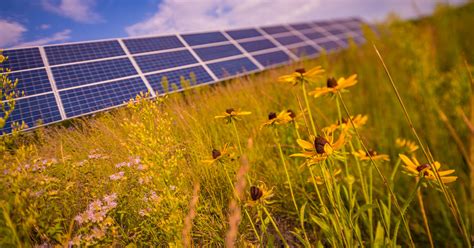 Butterfly Meadows Solar Storage Project Enel Green Power
