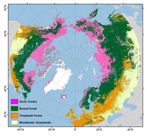Arctic Tundra Boreal Forests Map Forest Map Geography Map Map