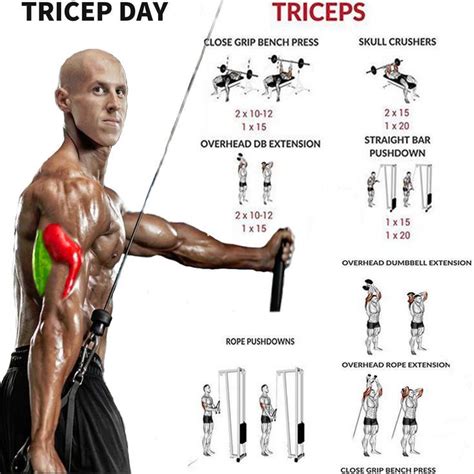 List Of Lateral Tricep Workout For Women Workout Plan Without Equipment