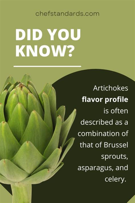 What Do Artichokes Taste Like Do They Really Taste Good