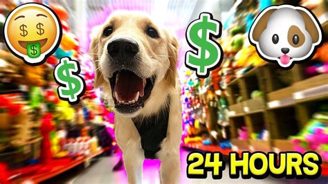 Buying My Puppy Everything She Touches For 24 Hours Dog Toy Challenge