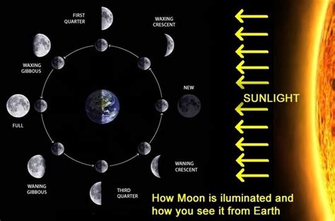 Experienced observers can take advantage of favorable librations to see about 59 percent of the lunar surface. Why do phases of the moon occur? - Quora