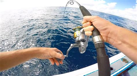 Get Wrecked Offshore Tuna Kingfish And Amberjack Fishing Youtube