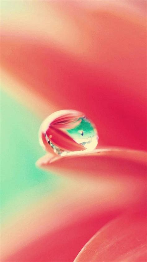 Maybe you would like to learn more about one of these? Download iPhone 7 and 7 Plus HD Wallpapers | TechBeasts