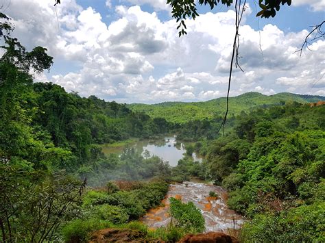 Jungle Trek in Myanmar (Northern Shan State) : travel