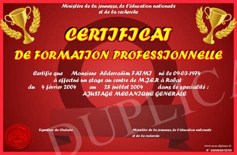 Certificat De Formation Professionnelle
