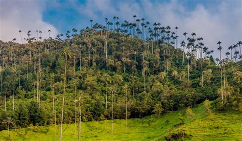 Volcano Jungle And Lost City 4 Treks In Colombia