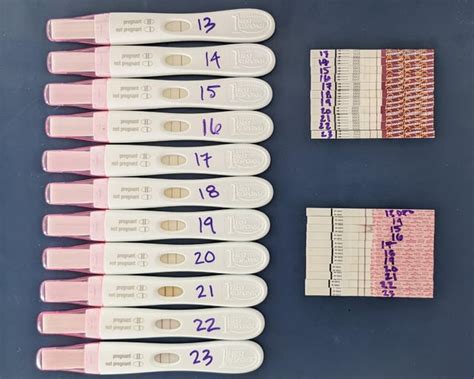 9 To 12 Dpo Frer Progression Im Cautiously Optimistic After A