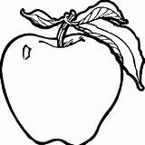 Coloring Fruit Apple Students Printable Coloringtop Via sketch template