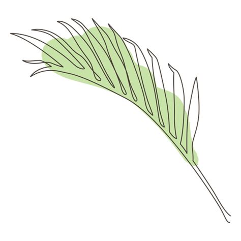 Palm Leaf Drawing : Drawing leaf palm palm leaf leaf drawing palm ...