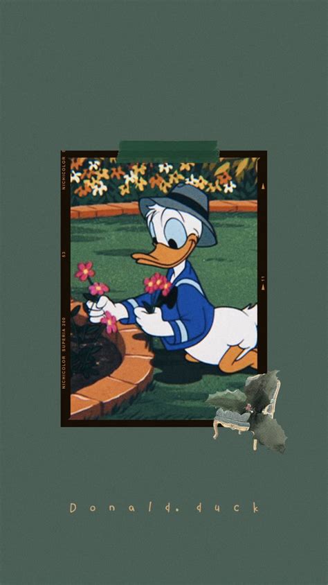 Donald Duck Wallpaper Aesthetic 🌲🐢 Duck Wallpaper