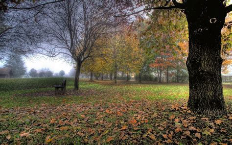 2017 03 16 Beautiful Pictures Of Hdr 1954668 Autumn Trees Tree