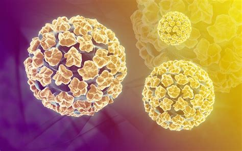 Hpv Virus Overview