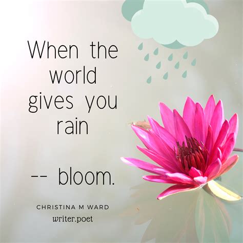 Rain — A Short Inspirational Poem By Christina M Ward The Pom