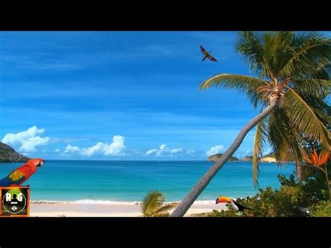 Caribbean Paradise Beach Screensaver & Ocean Waves Sounds for Sleeping ...