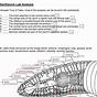Earthworm Worksheet Reading