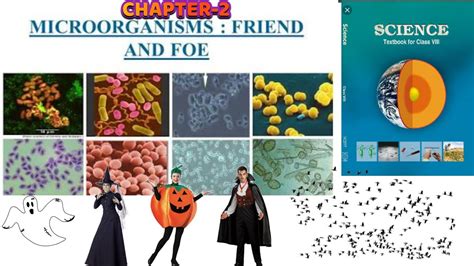 Chapter 2 Microorganisms Friend And Foe Class 8 Science Ncert Lesson