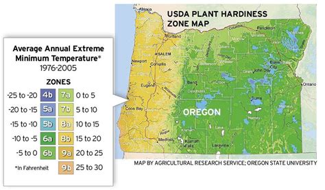 New Plant Hardiness Zones Reflect Warming Temperatures