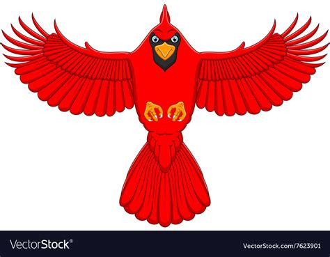 Flying Cardinal Cartoon Royalty Free Vector Image