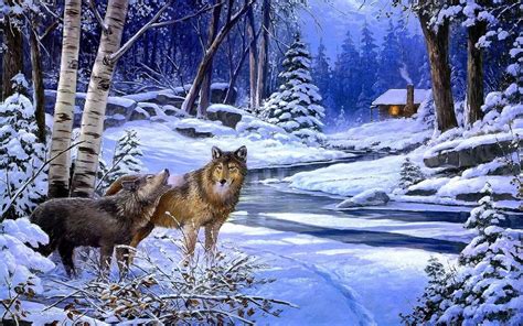 Wolf Wallpapers Winter Wolf Background Images