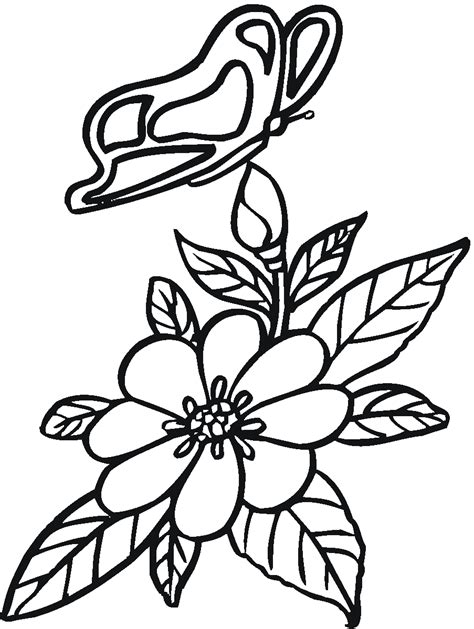 Mariposas para colorear, pintar e imprimir