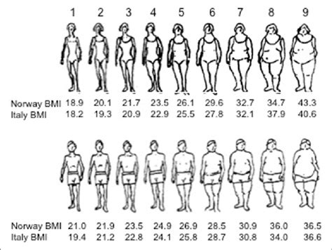 Bmi Bmi Chart Eat Smart Move More Nc The Body Mass Index Bmi
