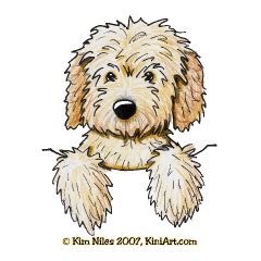 Mini goldendoodles and petite goldendoodles are hypoallergenic mini goldendoodles make wonderful pets. Pocket Goldendoodle KiniArt | Poodle drawing, Dog drawing, Doodle dog