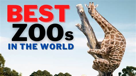 Most Stunning Zoos In The World Top 7 Youtube Otosection