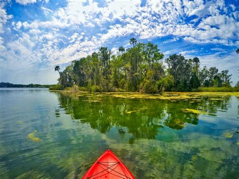 20 Fun Outdoor Activities In The Tampa Bay Area Clearwater Beach Blog