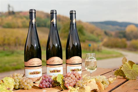 Achat en ligne de Vins d Alsace- Vins dAlsace Girolt