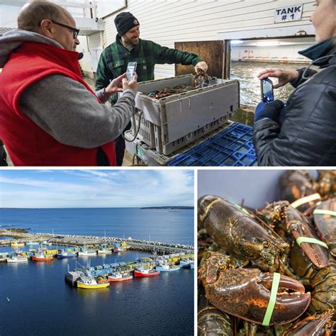 Experience The Lobster Crawl Festival On Nova Scotias South Shore