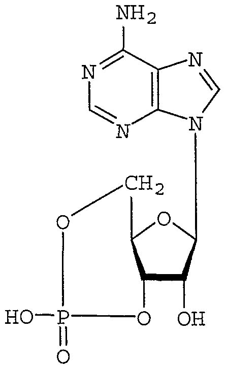 Non Cyclic Amp Molecule Dissolved In Water Sketch Coloring Page