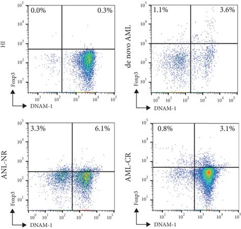 Expression of DNAM 1 on Foxp3 γδ T cells and correlation between TIGIT