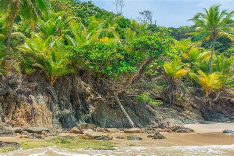 Beautiful Beach Scenary In South America Tropical Area Stock Image