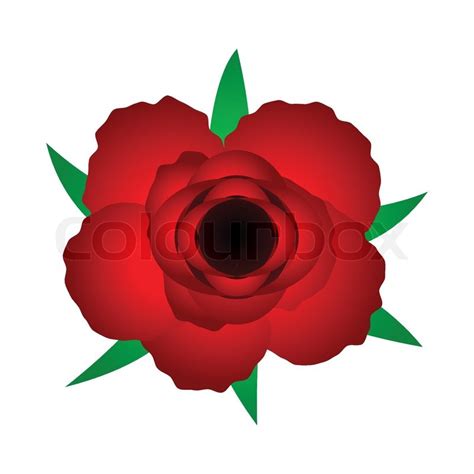 Red Rose Stock Vector Colourbox