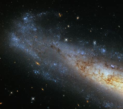 Hubble Snaps New Image Of Spiral Galaxy Ngc 1448