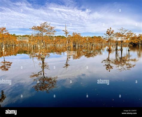 Parrish Pond Hi Res Stock Photography And Images Alamy