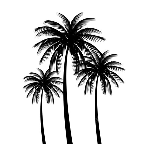 Small Palm Tree Silhouette Png Transparent Detailed Palm Tree Vector