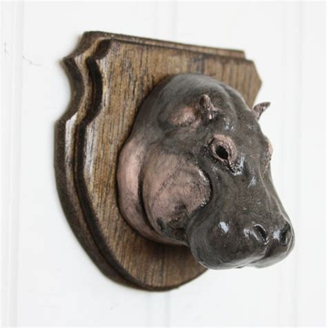 Baby Hippo Mounted Animal Trophy Head