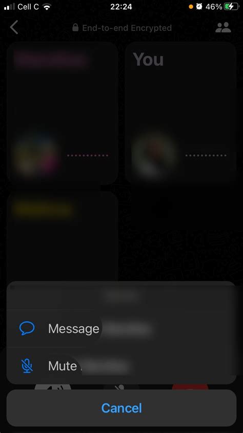 How To Mute Or Message Someone During A WhatsApp Group Call
