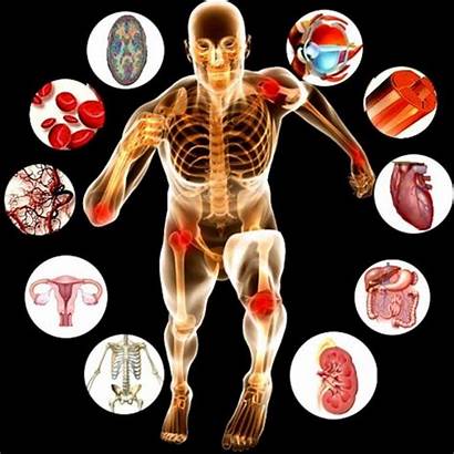 Physiology Anatomy Theory Courses L3 Clipart Introduction