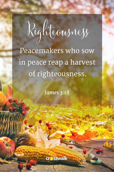 15 Beautiful Fall Bible Verses For The Autumn Season Bible Study