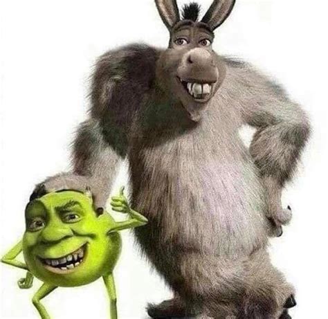 Shrek And Donkey Mike Wazowski And James P Sullivan Fandom