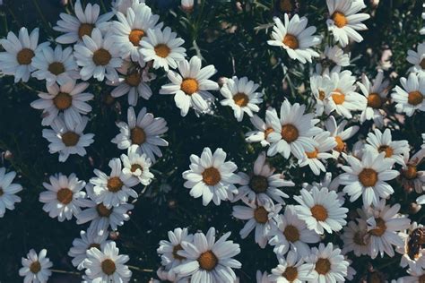 #springdesktopwallpaper in 2020 | Aesthetic desktop ... Download and use 5,000+ purple aesthetic stock photos for free.