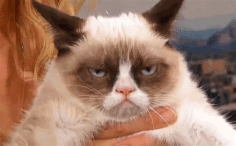 With tenor, maker of gif keyboard, add popular haircut animated gifs to your conversations. Today is National Grouch Day | GIPHY