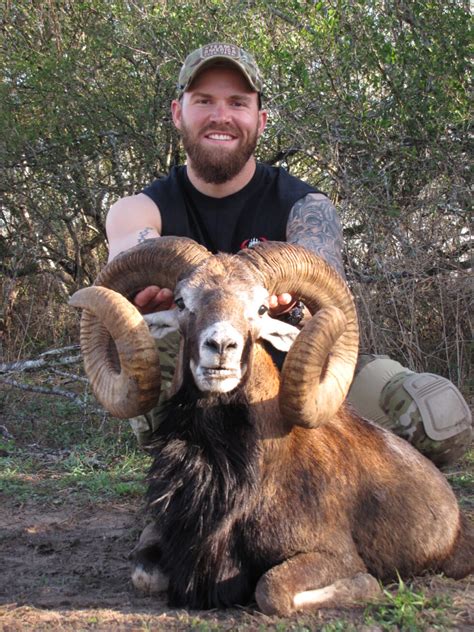 Mouflon Sheep Hunting Lonesome Bull Ranch